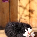 Pelote de laine mohair et soie noir - Mohair de la Ferme d'Auré
