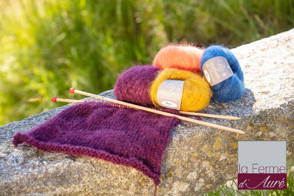 Pelotes De Laine De Différentes Couleurs Avec Aiguilles à Tricoter.