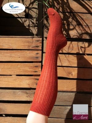 La chaussette mérinos rayures chamarrées, I.FIV5
