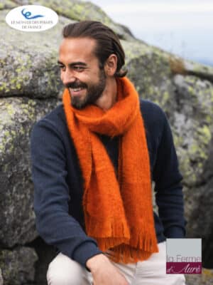 Echarpe homme