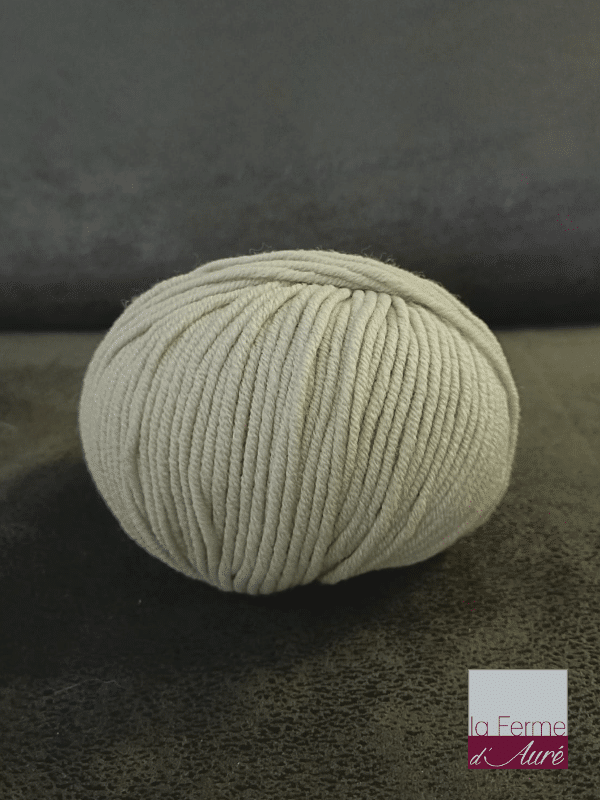 Laine Merinos d'Arles très douce, Origine France, coloris Gris Soie